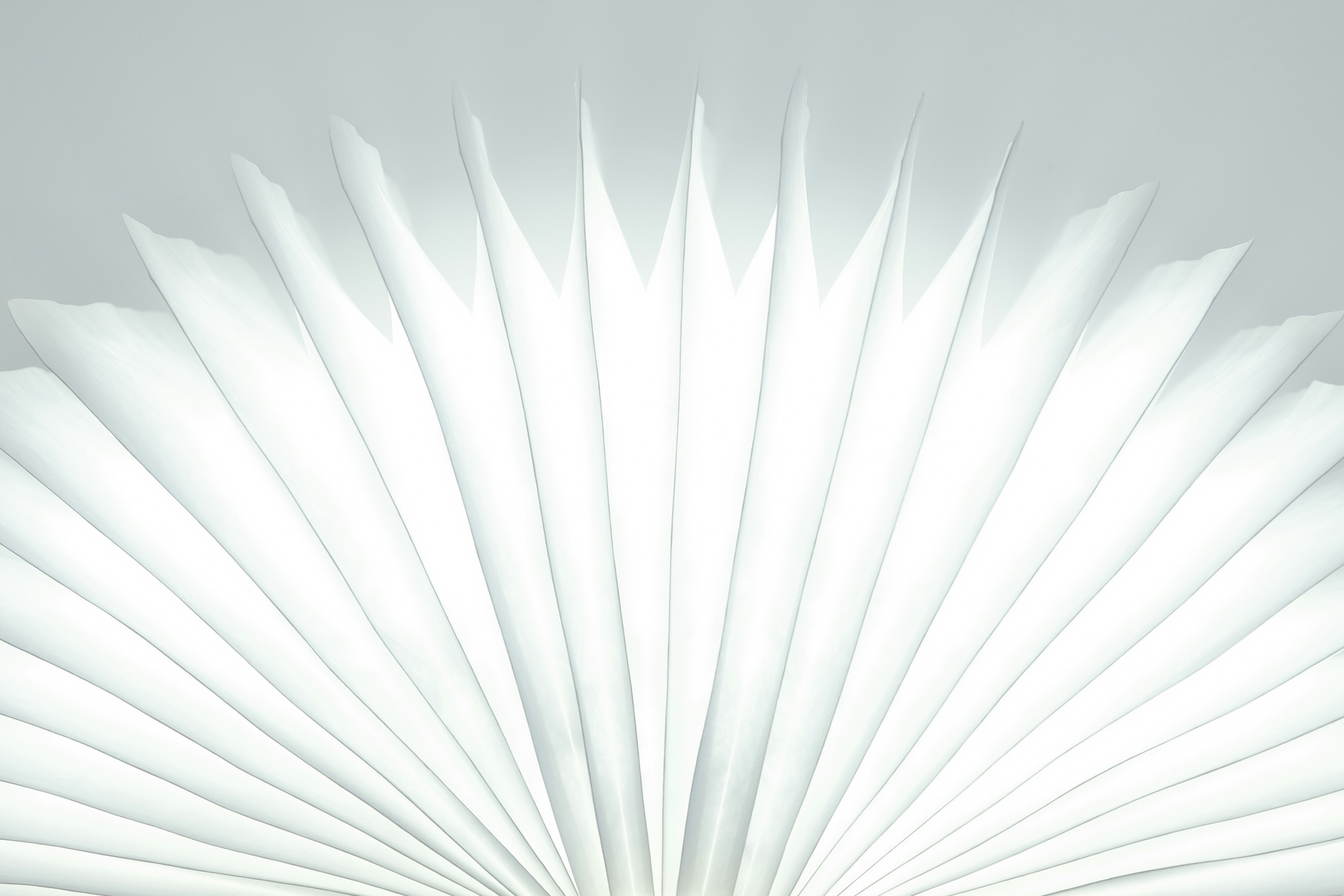 A radial arrangement of sharp, translucent white shapes resembling flower petals or abstract wings on a light background.